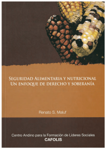 Seguridad alimentaria y nutricional un enfoque de