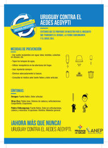 Afiche Dengue_A3