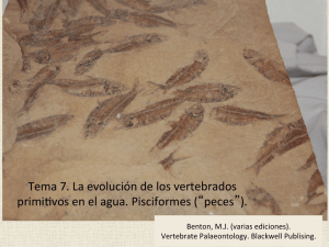 Tema 7. La evolución de los vertebrados primiYvos