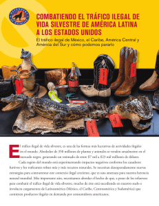 combatiendo el tráfico ilegal de vida silvestre de américa latina a los