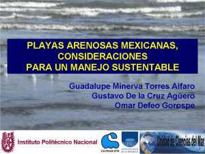 Playas arenosas mexicanas, consideraciones para un manejo