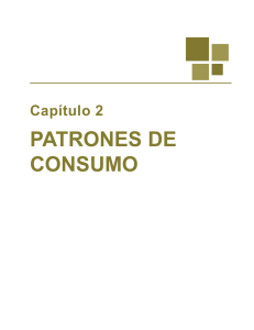 PATRONES DE CONSUMO