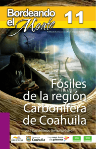 Fósiles de la región Carbonífera de Coahuila
