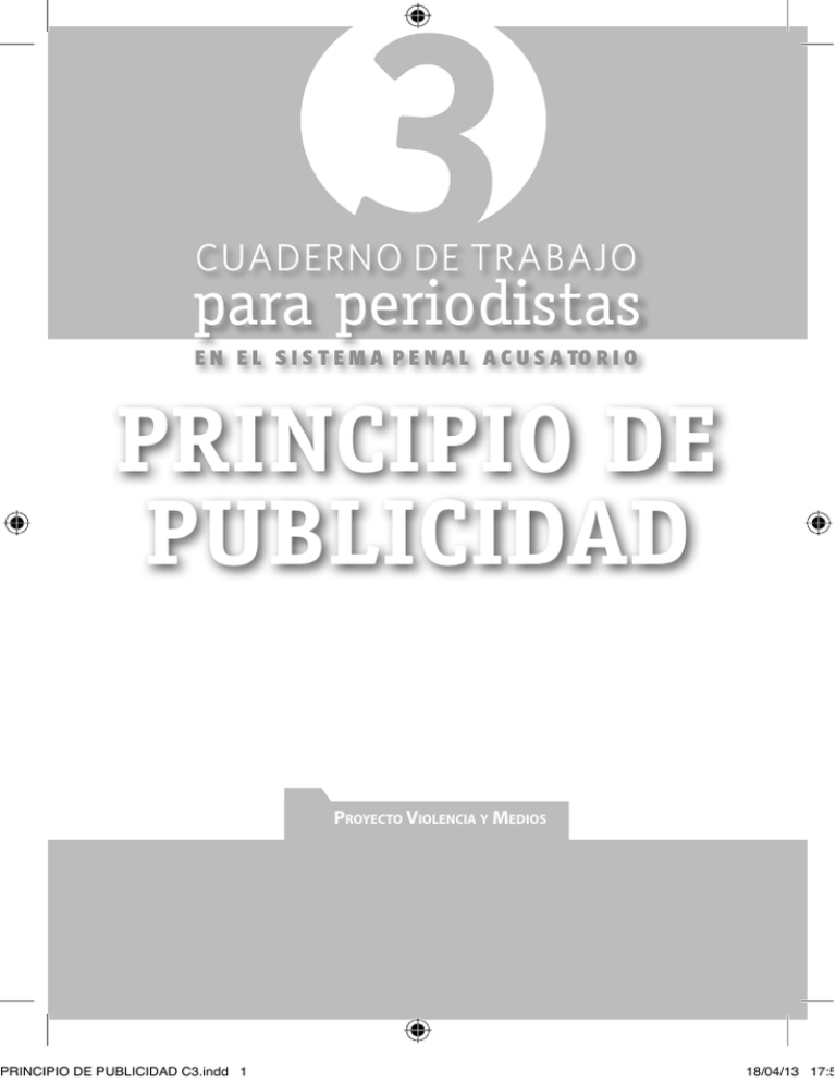 Principio De Publicidad