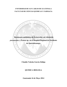 Resistencia antibiótica de Escherichia coli, Klebsiella pneumoniae y