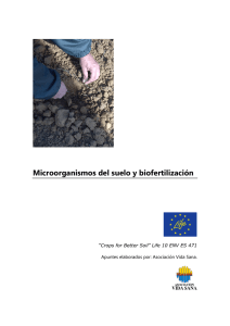 Microorganismos del suelo y biofertilización