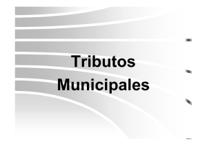Tributos Municipales