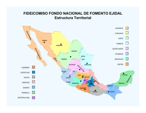 Estructura Territorial del FIFONAFE?