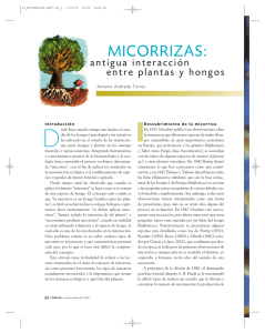 Micorrizas: antigua interacción entre plantas y hongos