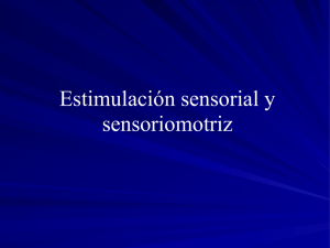 Estimulación sensorial y sensoriomotriz