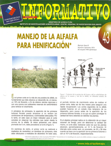 Page 1 MINISTERIO DE AGRICULTURA INSTITUTO DE