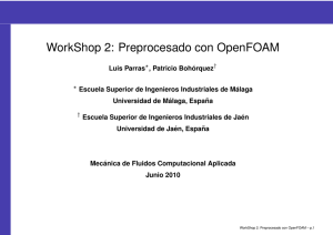 WorkShop 2: Preprocesado con OpenFOAM