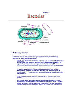 Biología - Bacterias