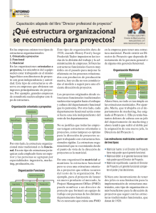 ¿Qué estructura organizacional se recomienda para proyectos?
