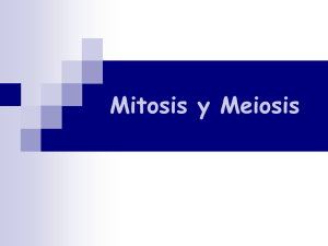 Mitosis y Meiosis - Instituto Nacional