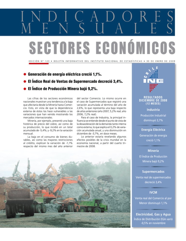 SECTORES ECONÓMICOS - Instituto Nacional De Estadísticas