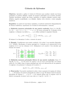 Criterio de Sylvester - Apuntes y ejercicios de matemáticas, Egor