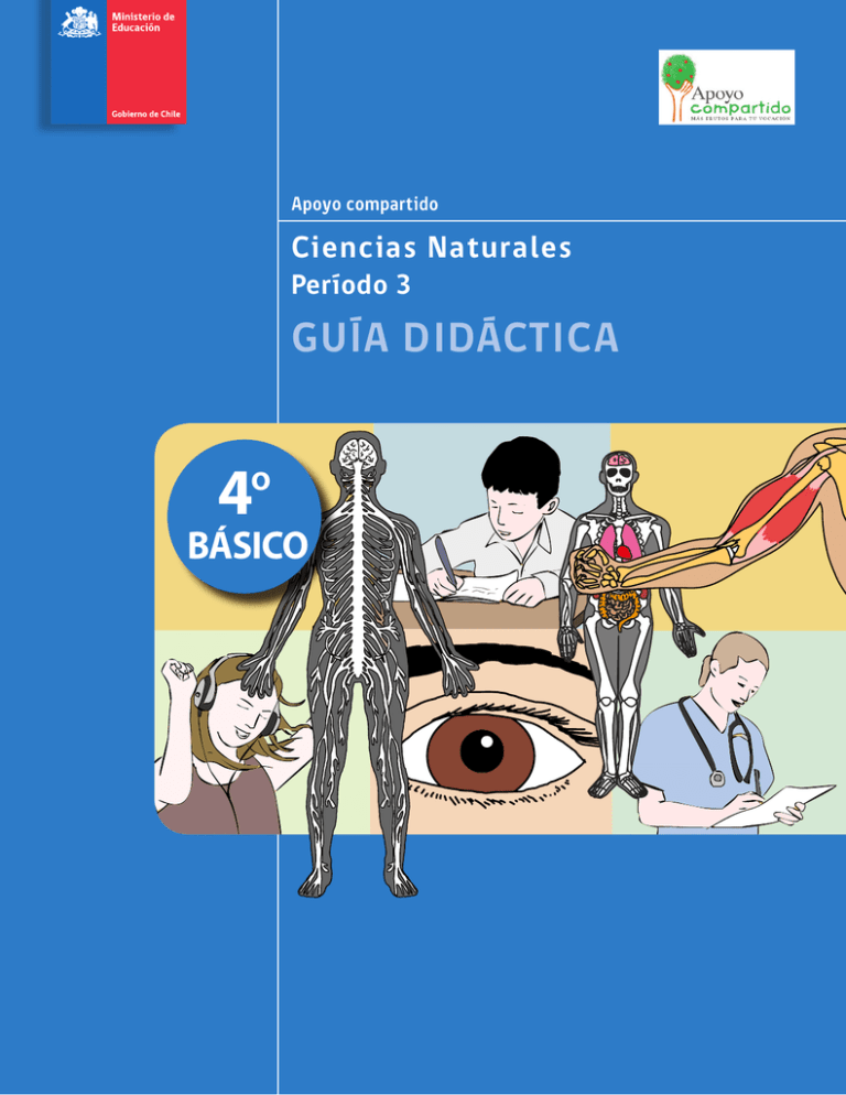 Gu a Did ctica Ministerio De Educaci n De Chile