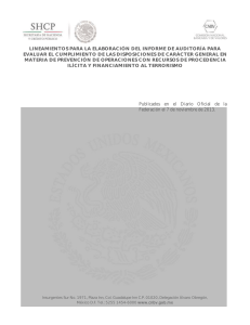 LINEAMIENTOS PARA LA ELABORACIÓN DEL INFORME DE