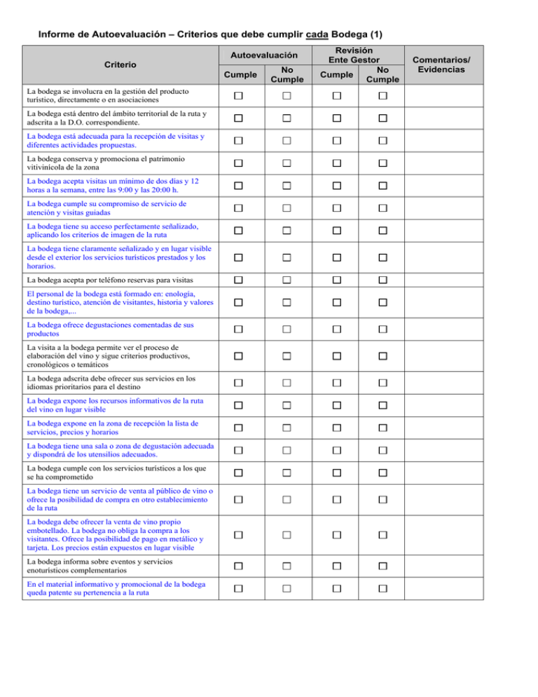 Informe De Autoevaluación – Criterios Que Debe Cumplir Cada