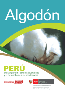 Algodón - Ministerio de Agricultura