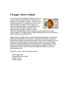 Cirugía vítreo retinal