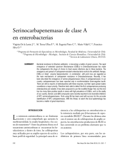 Serinocarbapenemasas de clase A en enterobacterias