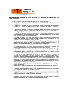 Recomendaciones de Seguridad: Zona de Rodamiento.