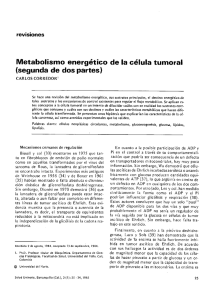 Metabolismo energético de la célula tumoral
