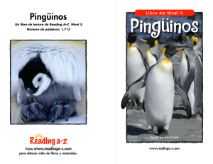 Pingüinos - educaventura