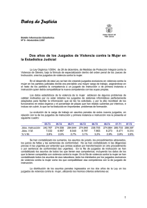 Dos años de los Juzgados de Violencia contra la