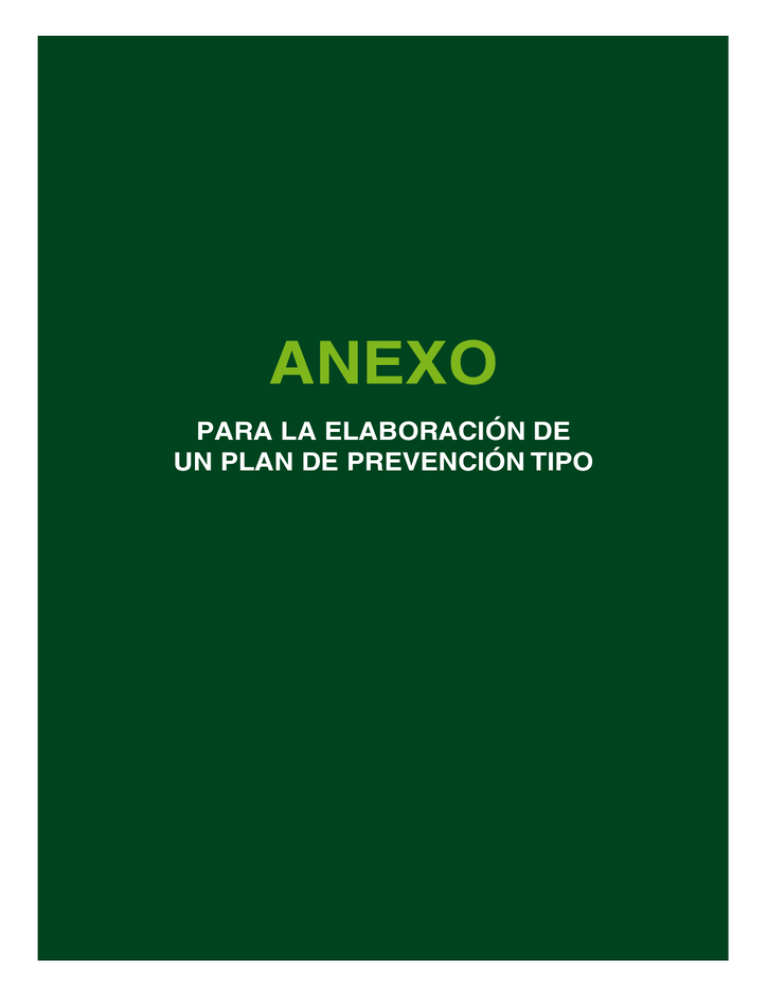 Para La Elaboración De Un Plan De Prevención Tipo