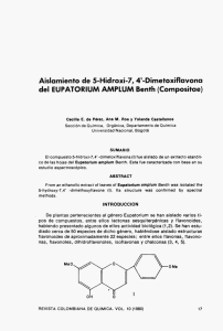 Aislamiento de 5-Hidroxi-7, 4`-Dinnetoxiflavona del EUPATORIUM