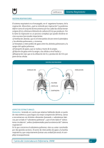 sistema respiratorio.indd