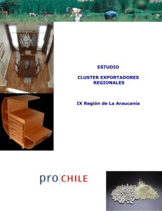 ESTUDIO CLUSTER EXPORTADORES REGIONALES IX Región de