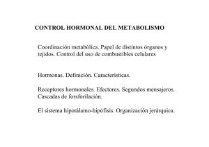 CONTROL HORMONAL DEL METABOLISMO Coordinación