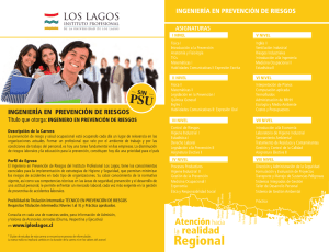 Instituto Profesional Los Lagos