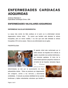 Enfermedades adquiridas clases.pages