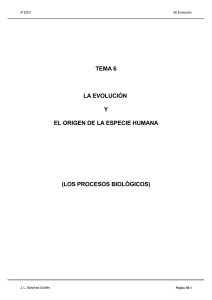TEMA 6 LA EVOLUCIÓN Y EL ORIGEN DE LA ESPECIE HUMANA