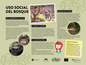 uso SOCIAL DEL BOSQUE - Life Boscos