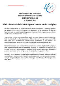 Clínica Veterinaria de la U Central prestó atención médica a zarigüeya
