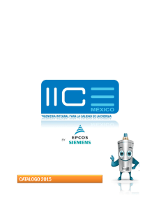 Catálogo IICE 2013