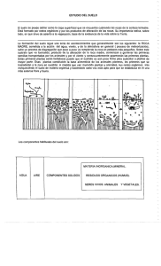 ESTUDIO DEL SUELO El suelo se puede deﬁnir como la capa