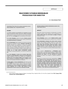 reacciones cutaneas indeseables producidas por insectos