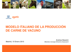 modelo italiano de la producción de carne de vacuno