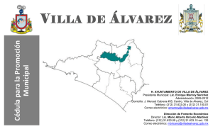 villa de álvarez - Secretaría de Fomento Económico.