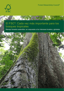 El FSC®: Cada vez más importante para los bosques tropicales