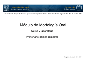 Módulo de Morfología Oral