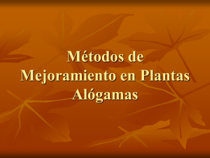 Mejoramiento de Plantas Alógamas
