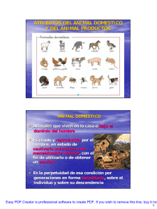 ATRIBUTOS DEL ANIMAL DOMESTICO Y DEL ANIMAL
